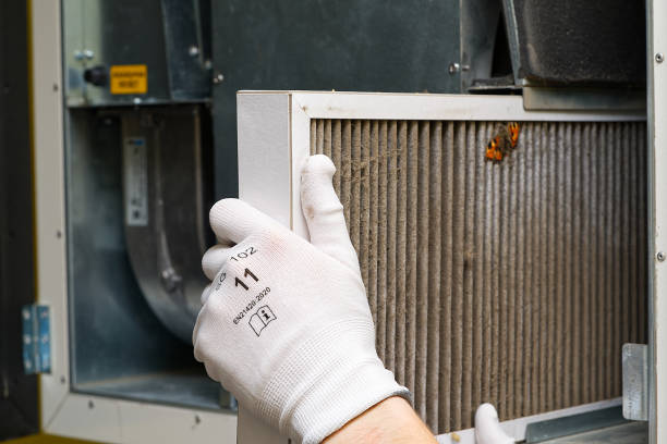 Best Air Duct Inspection  in Marianna, FL